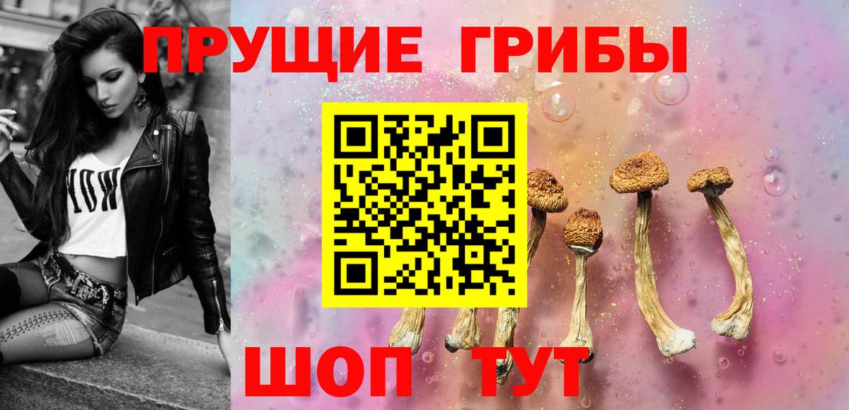 Псилоцибиновые грибы Psilocybe Кандалакша