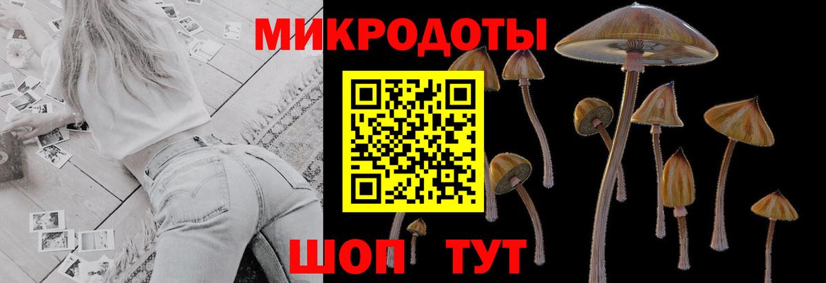 Кандалакша  Галлюциногенные грибы Psilocybine cubensis  Вход с VPN 